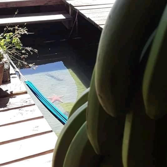 Life Is Good Casa Villa โบกัสทาวน์ ภายนอก รูปภาพ